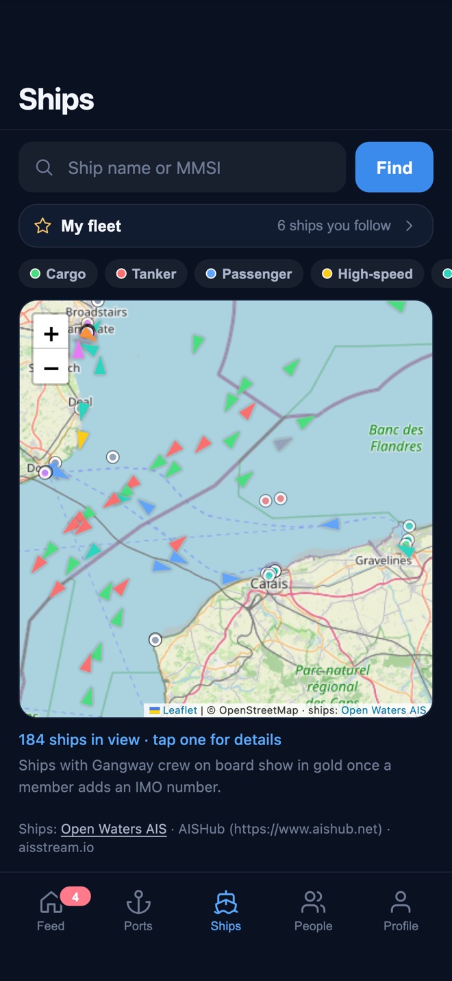 The live map of ships